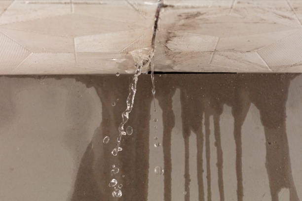 Professional Structural Drying technician working in Gagetown, MI